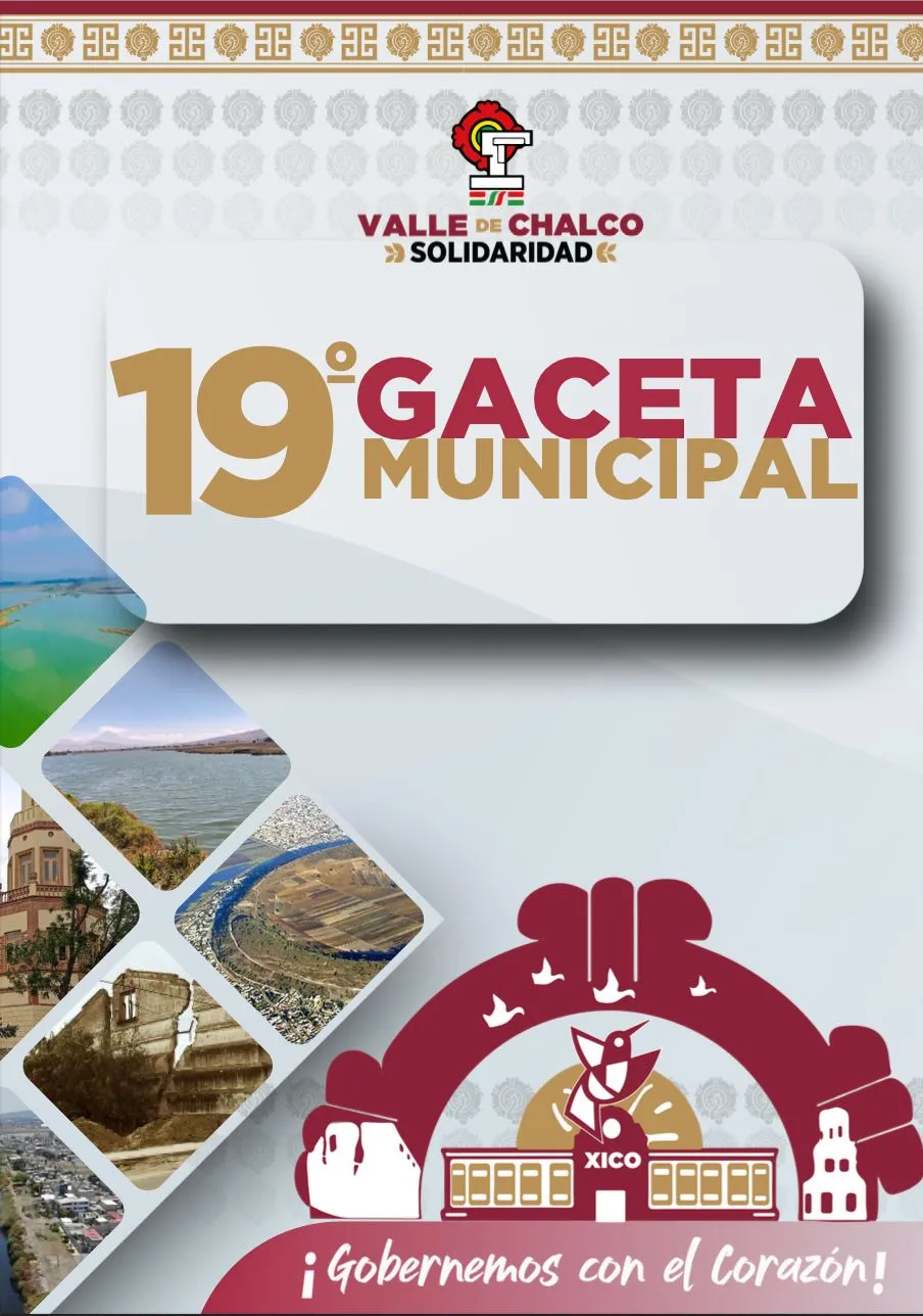 Gaceta No.19