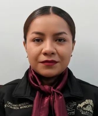 Verificador