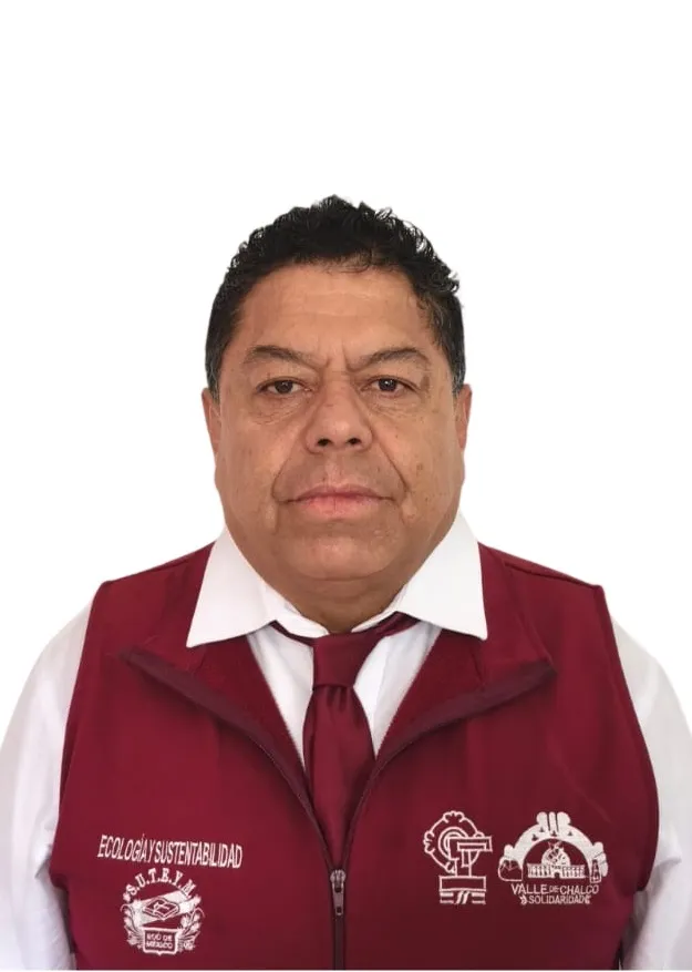 Verificador