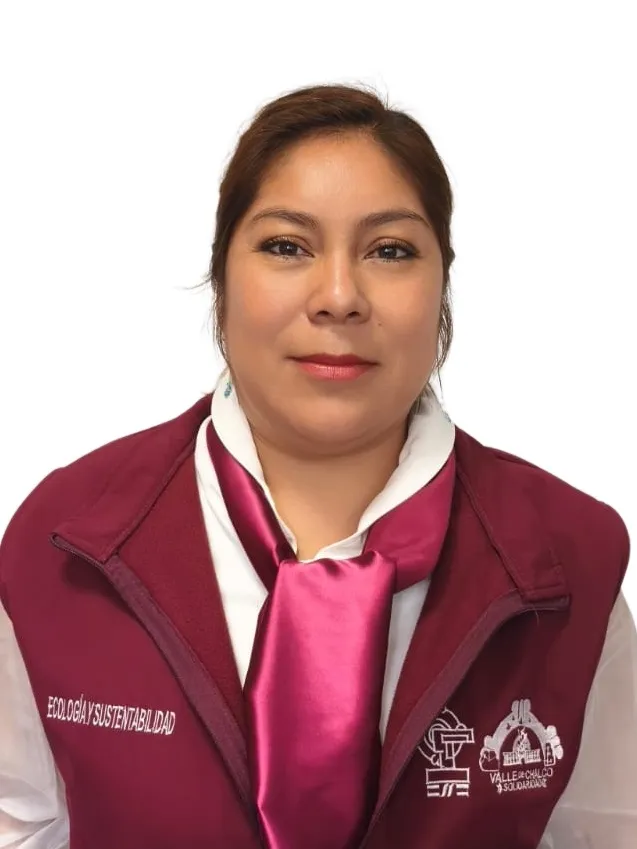Verificador