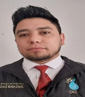 Verificador