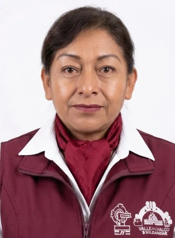 Verificador