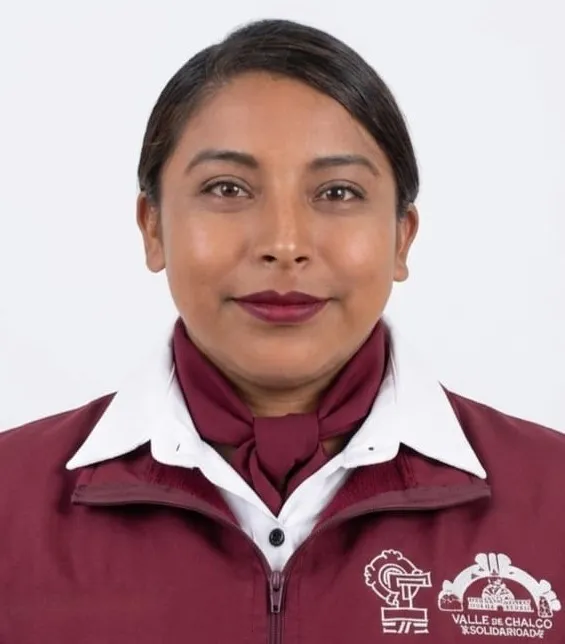 Verificador