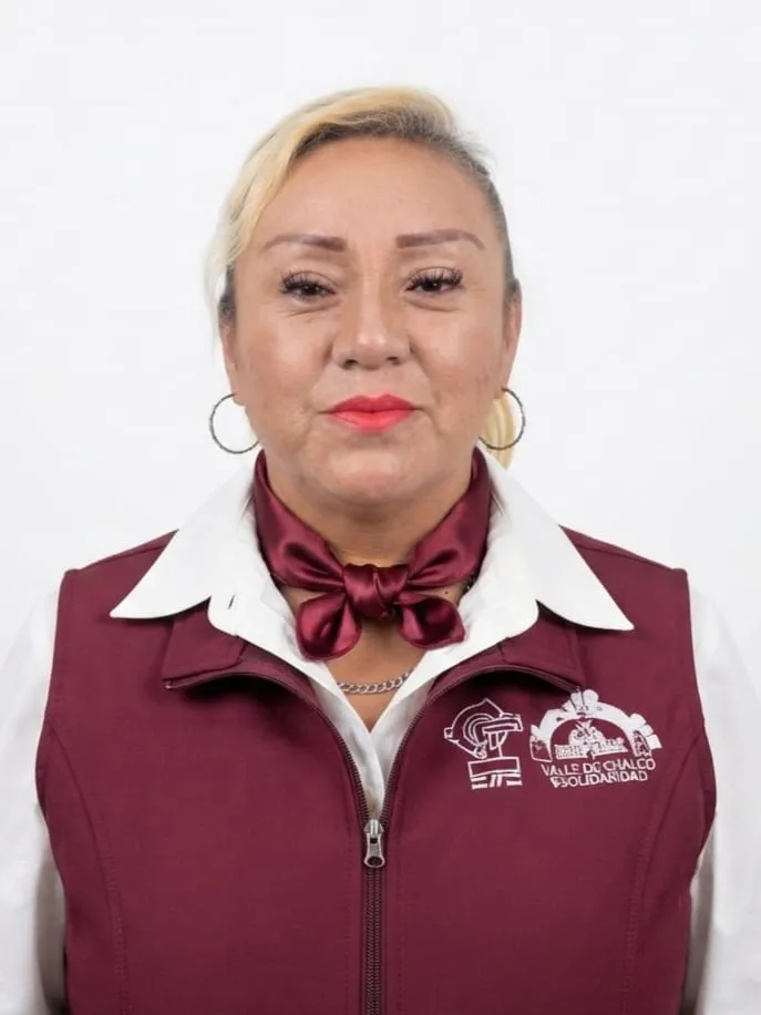 Verificador