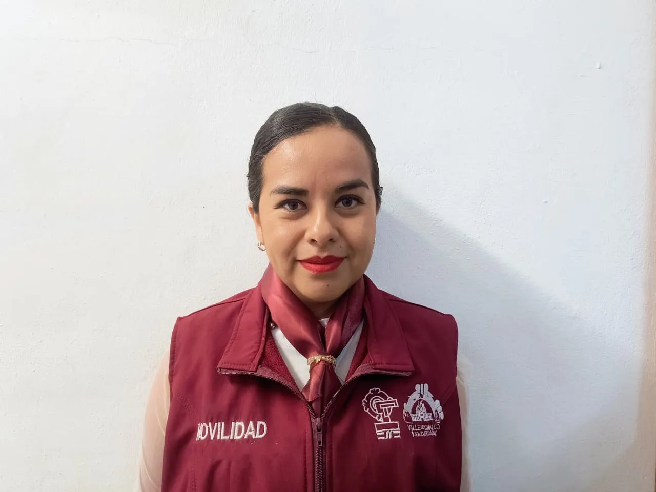 Verificador