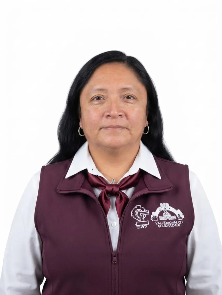 Verificador
