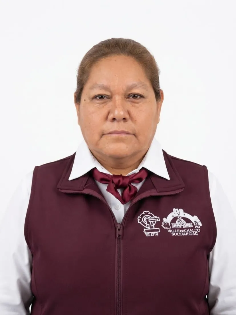 Verificador