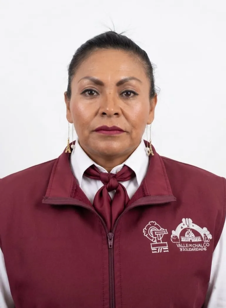 Verificador