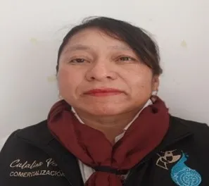 Verificador